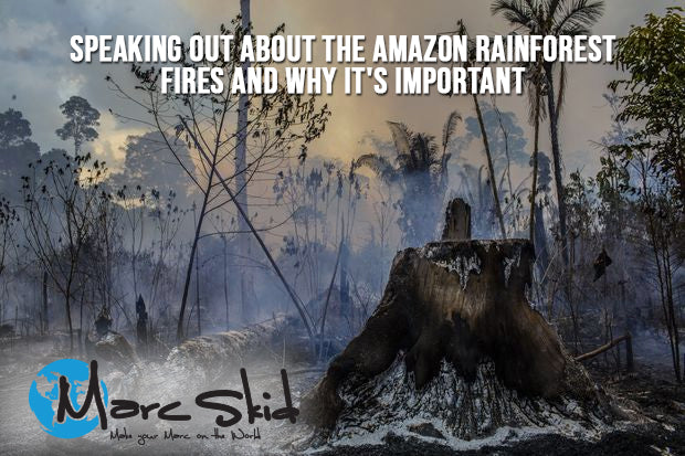 People who are speaking out about the Amazon Rain-Forest fires and why it’s important