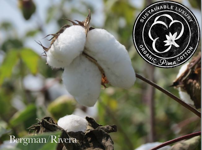 Where does Marc Skid organic Pima cotton come from?