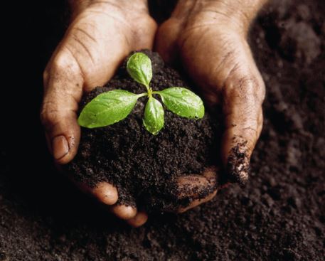 Start saving the world in your backyard with composting