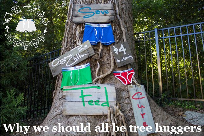 Why we should all be tree huggers: How trees benefit us